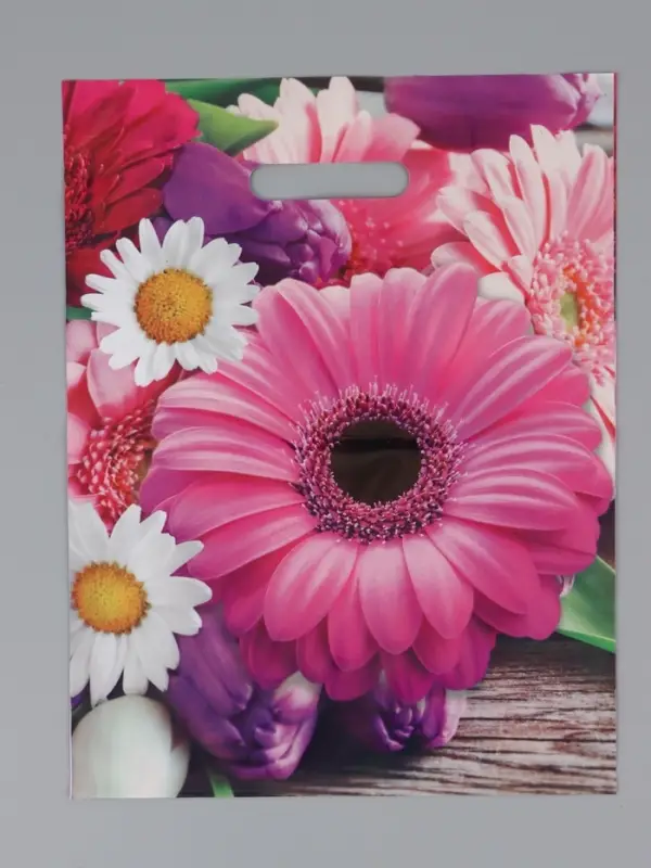 Пакет Пакет "Ароматная палитра", полиэтиленовый с вырубной ручкой 31х40 см, 60 мкм