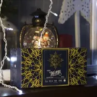 Гирлянда &laquo;Бахрома&raquo; 3&times;0.6 м, IP44, УМС, белая нить, 160 LED, свечение белое, мерцание белым, 220 В