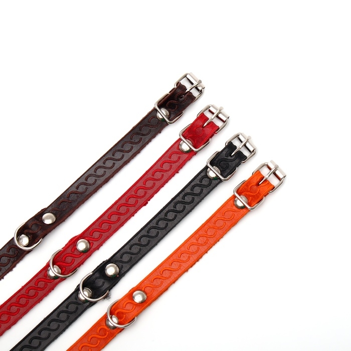 Ошейник кожаный однослойный неукрашенный, 1,2 см, ОШ 20-26 см, микс цветов и видов Ошейник кожаный однослойный неукрашенный, 1,2 см, ОШ 20-26 см, микс цветов и видов