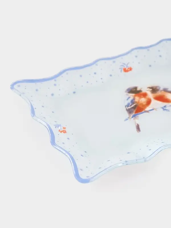 Блюдо сервировочное новогоднее Доляна «Снегири на ветке"», 25×16 см, стекло, белое, голубое