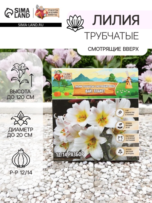Лилии Трубчатые смотрящие вверх White Planet, луковица в пакете с перфорацией, р-р 12/14, 2 шт.
