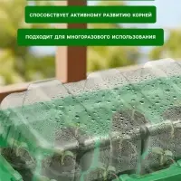 Мини - парник для рассады, 24&times;12&times;11 см, 11 ячеек под таблетки для рассады d=3 см, пластик, Greengo