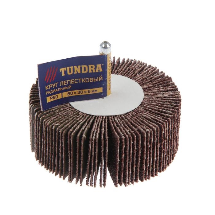Круг лепестковый радиальный ТУНДРА, 80 х 30 х 6 мм, Р60 Круг лепестковый радиальный ТУНДРА, 80 х 30 х 6 мм, Р60