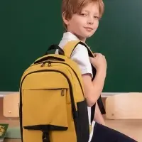Рюкзак школьный, 2 отделения, 4 кармана, водонепроницаемое дно, 27&times;13&times;38.5 см, жёлтый