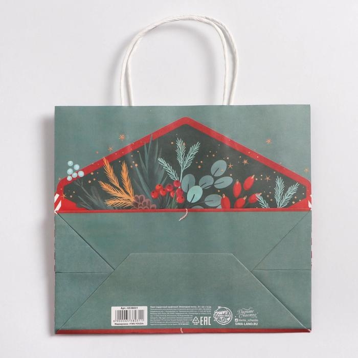 Пакет подарочный новогодний крафтовый «Новогодняя почта», 25 х 22 х 12 см Пакет подарочный новогодний крафтовый «Новогодняя почта», 25 х 22 х 12 см