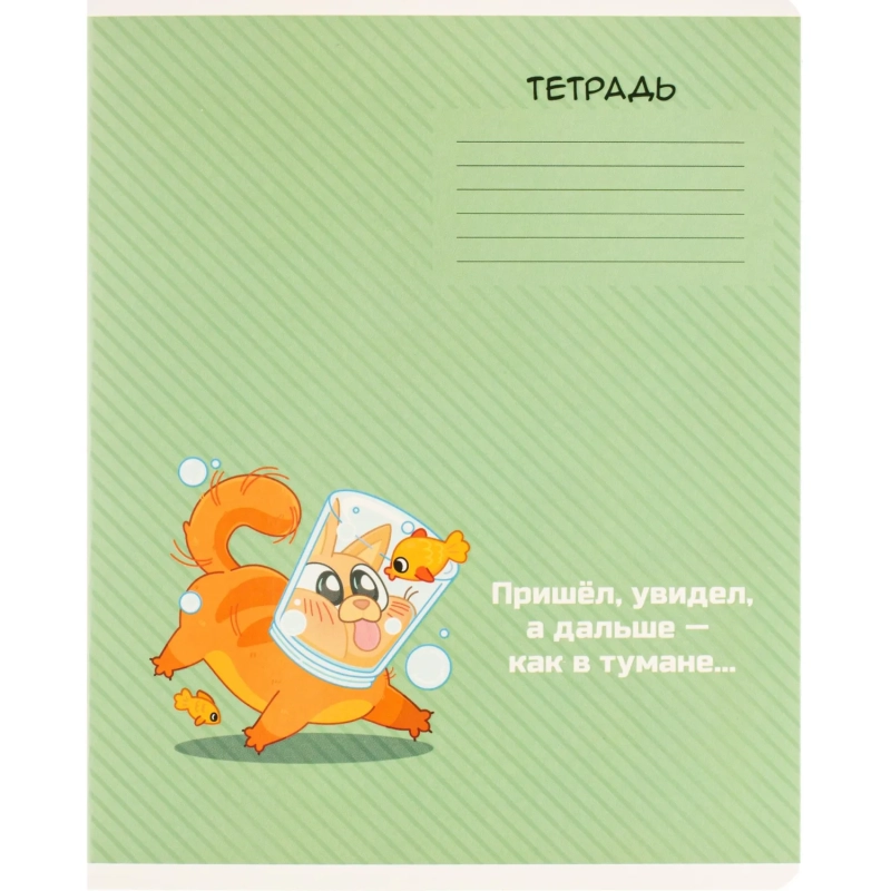Тетрадь 12л, линия,А5+ ГЕРОИ С ХАРАКТЕРОМ,ассортимент 70904