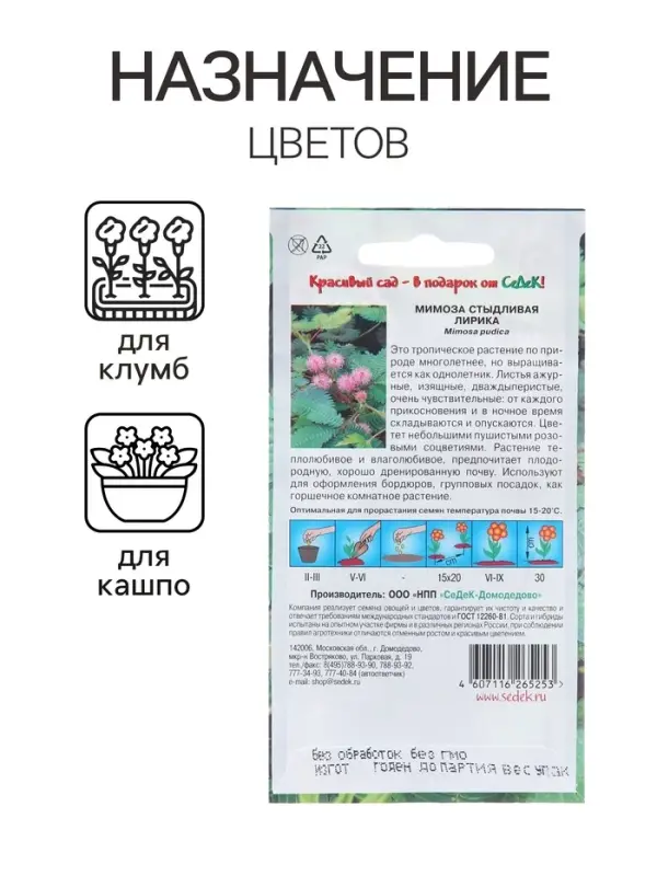 Семена цветов Мимоза "Лирика", стыдливая, розовая, Евро, 0,1 г