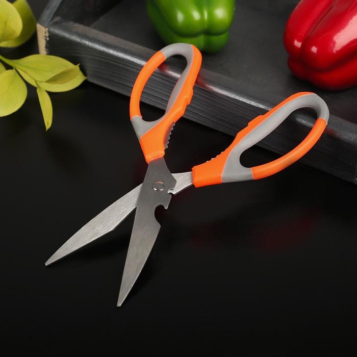 Ножницы кухонные Доляна «Драйв», 22 см, с открывалкой для бутылки, цвет МИКС Ножницы кухонные Доляна «Драйв», 22 см, с открывалкой для бутылки, цвет МИКС