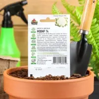 Семена Капуста цветная "Мовир 74", ц/п, 0,1 г серия ХИТ х3 Семена Капуста цветная "Мовир 74", ц/п, 0,1 г серия ХИТ х3