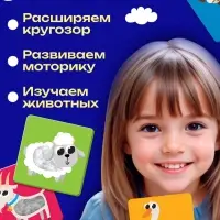 Развивающий набор &laquo;Животные фермы&raquo;, 10 тактильных карточек, 3+
