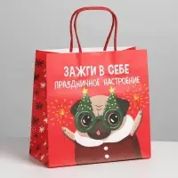 Пакет подарочный новогодний «Зажги в себе», 22 х 22 х 11 см Пакет подарочный новогодний «Зажги в себе», 22 х 22 х 11 см