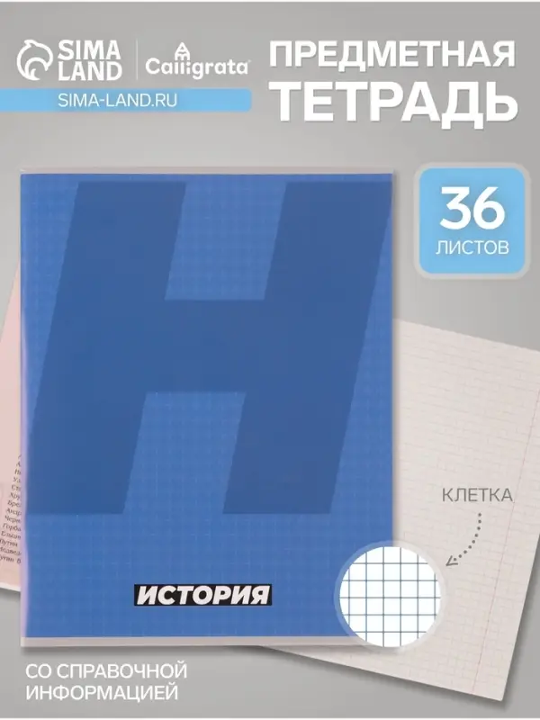 Тетрадь предметная, 36 листов в клетку, Calligrata &laquo;MonoTone. История&raquo;, серые листы