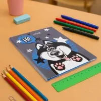 Дневник школьный для 1-11 классов, &laquo;Хаски&raquo;, твёрдая обложка 7БЦ, глянцевая ламинация, 40 листов