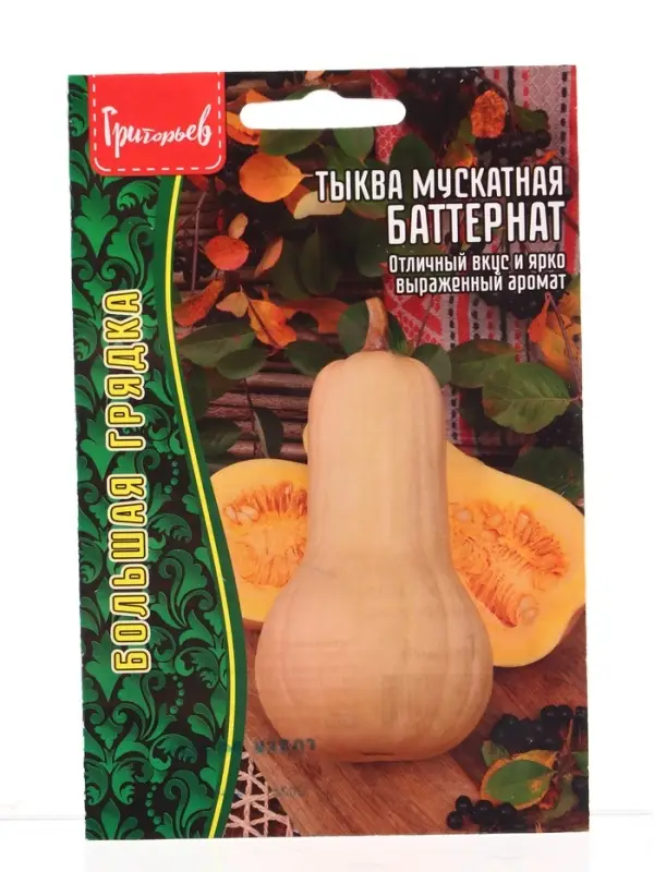 Семена Тыква Баттернат мускатная   5шт.  12.29 г.