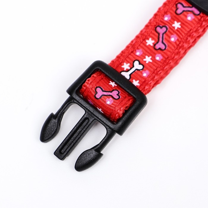 Ошейник нейлоновый Ошейник нейлоновый "Звездные косточки", 36 х 1,5 см, красный