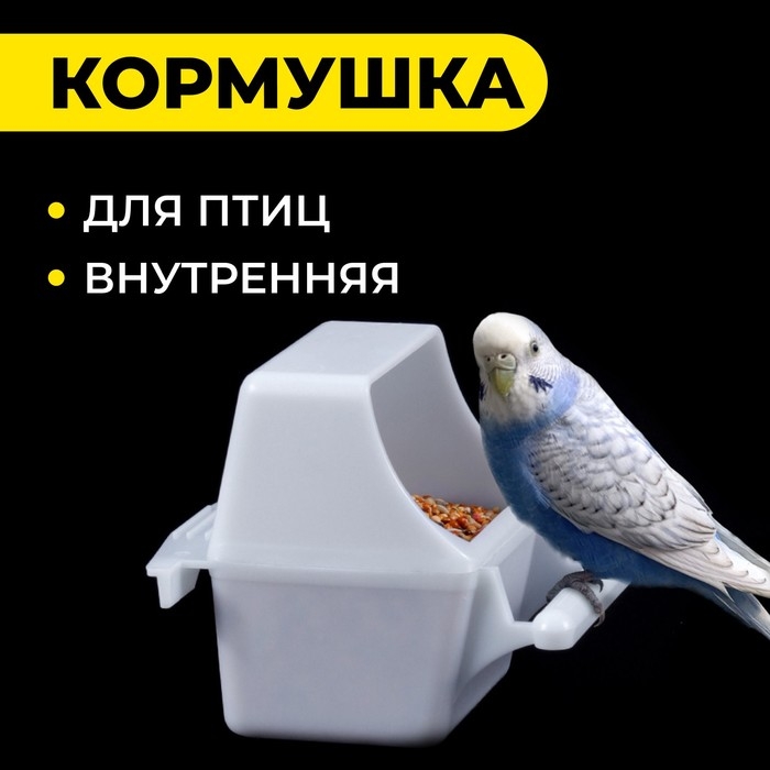 Кормушка для птиц внутренняя, 7,5 х 5,5 х 9 см Кормушка для птиц внутренняя, 7,5 х 5,5 х 9 см