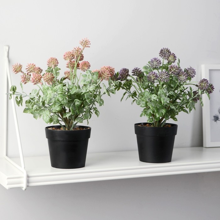 Бонсай в горшке Бонсай в горшке "Мордовник" 9х22 см, микс