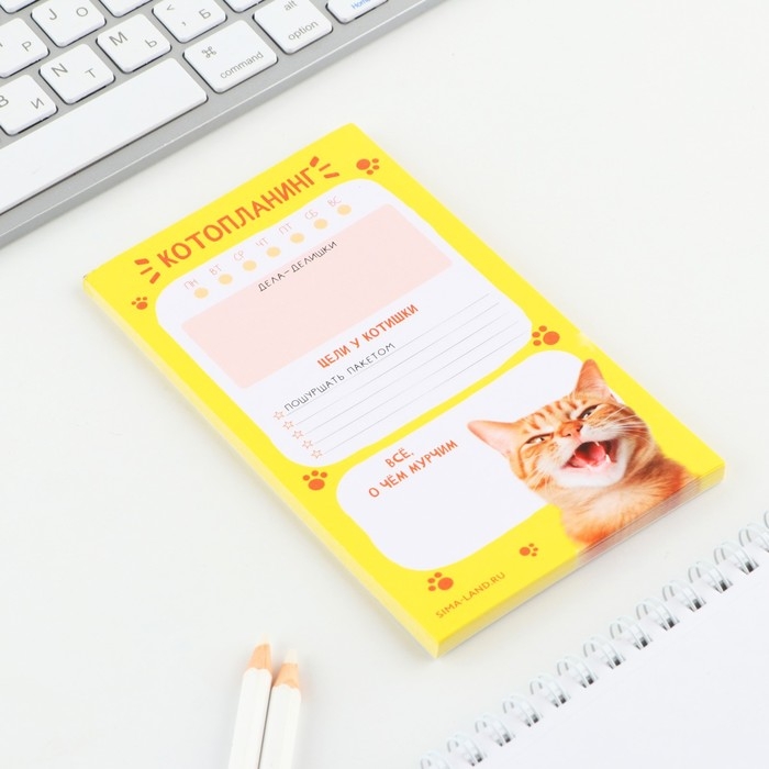 Планер с отрывными листами, 50 л «Кот»