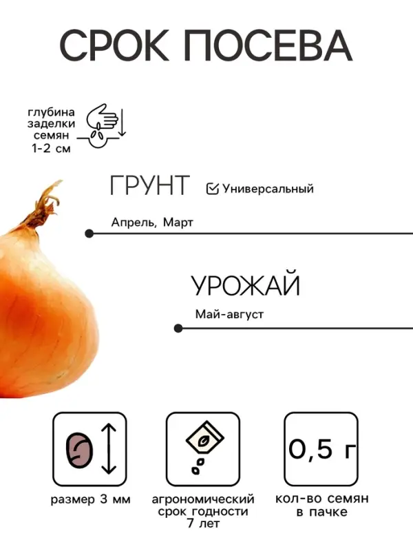 Семена Лук на зелень &laquo;Лучок на пучок&raquo;, 0.5 г, &laquo;Аэлита&raquo;