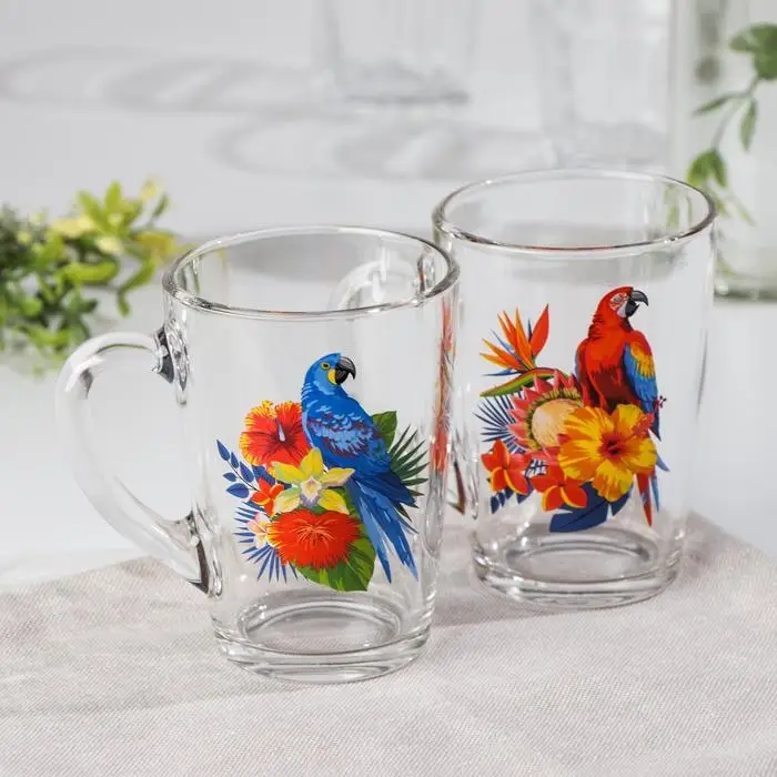 Кружка стеклянная «Тропические птицы», 300 мл