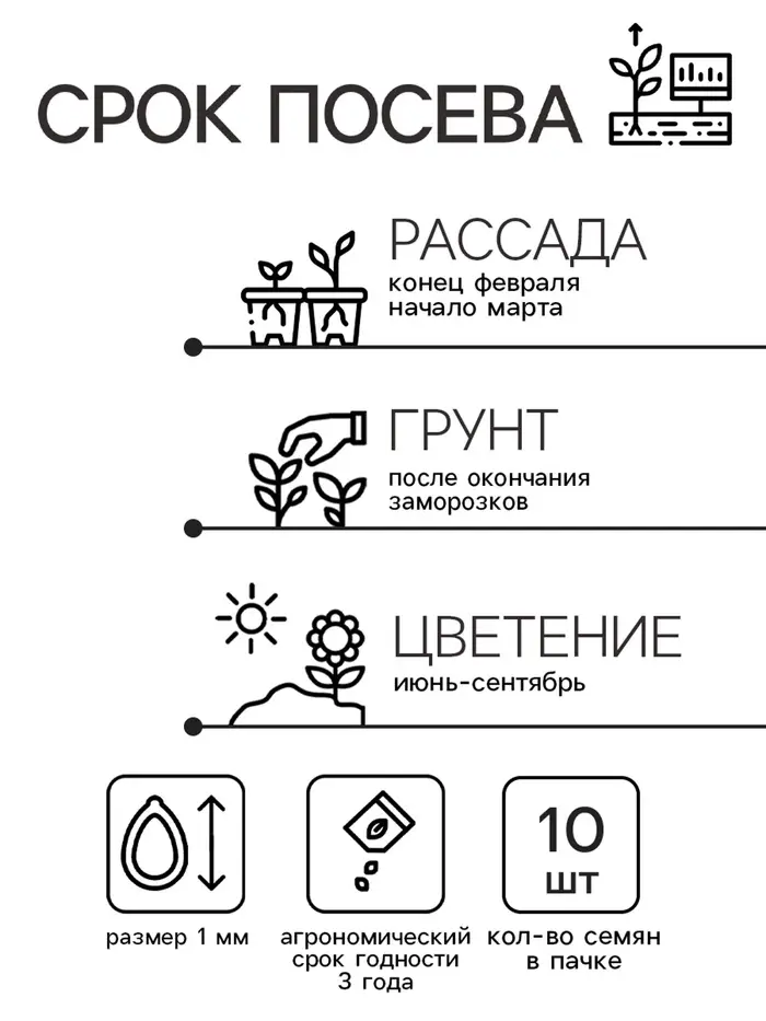 Семена цветов Катарантус Пацифика  "Полька Дот" 10 шт Семена цветов Катарантус Пацифика  "Полька Дот" 10 шт