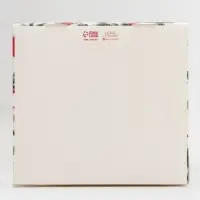Коробка для кондитерских изделий с PVC-крышкой «Ветки», 25 х 22,5 х 10 см