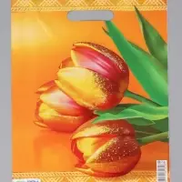 Пакет "Желтые тюльпаны, полиэтиленовый с вырубной ручкой 30х40 см, 60 мкм