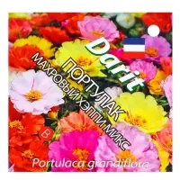 Семена цветов Портулак махровый "Хэппи микс", О, DARIT  0,1 г