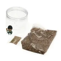 ЭВРИКИ Набор для опытов "Волшебные опыты", адвент-календарь ЭВРИКИ Набор для опытов "Волшебные опыты", адвент-календарь