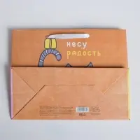 Пакет подарочный крафтовый, упаковка, &laquo;Несу радость&raquo;, MS 18&times;23&times;10 см