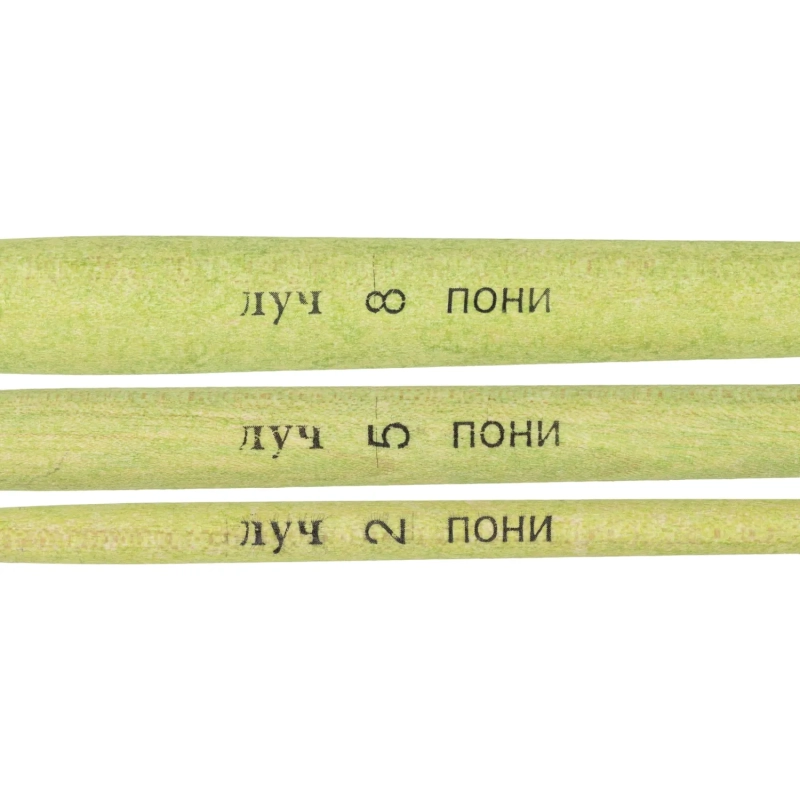 Набор кистей ZOO, 3 шт. ПОНИ (круглые № 2, 5, 8) 33С 2183-08