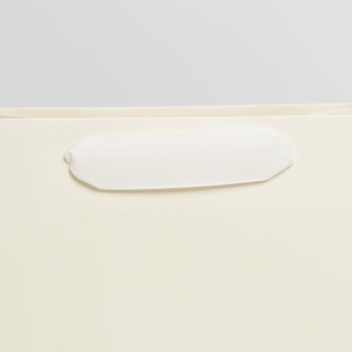 Пакет подарочный ламинированный, упаковка, «Молочный», MS 18 х 23 х 10 см