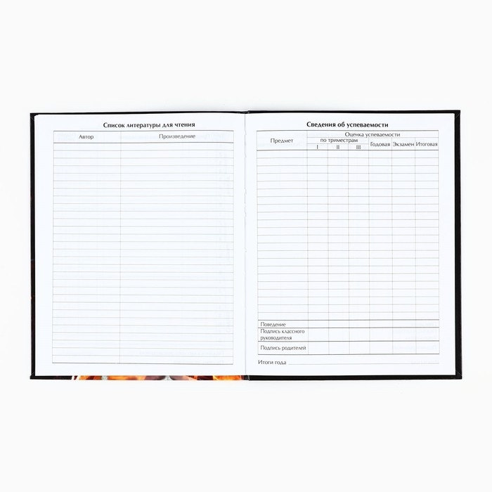 Дневник школьный для 1-11 класса, в интегральной обложке, 40 л. «1 сентября:Extreme football» Дневник школьный для 1-11 класса, в интегральной обложке, 40 л. «1 сентября:Extreme football»