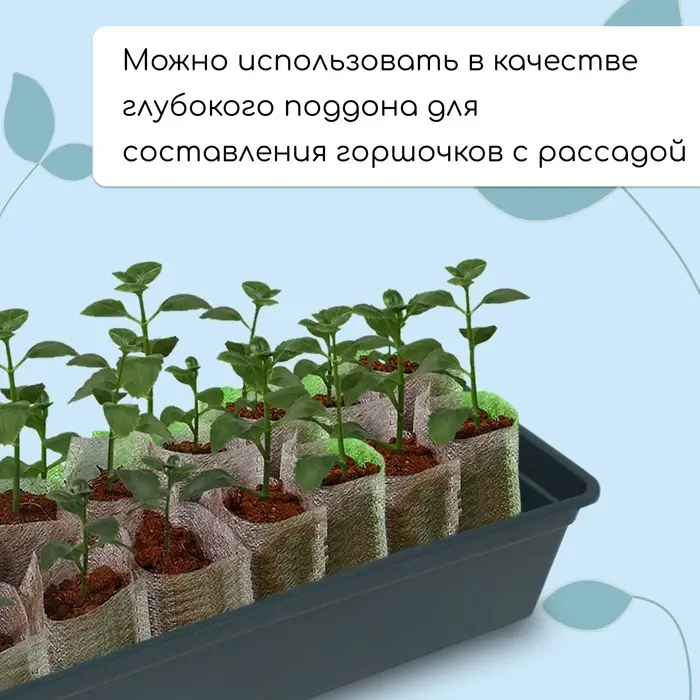 Ящик для рассады, 50&times;15&times;10 см, 5 л, пластик, чёрный, &laquo;Садовита 6&raquo;