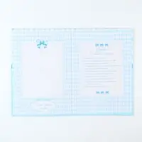 Папка под свидетельство о рождении мальчика "Бант", А5