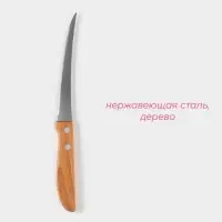 Нож кухонный для цитрусовых Доляна &laquo;Эльбрус&raquo;, лезвие 12 см