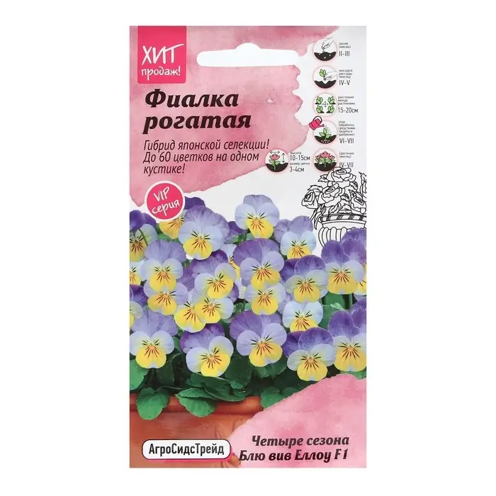 Семена Цветов  Фиалка  Семена Цветов  Фиалка "Блю вив Еллоу", 5 шт