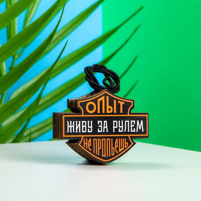 Подвеска автомобильная Grand Caratt Подвеска автомобильная Grand Caratt "Опыт не пропьёшь", дерево, войлок