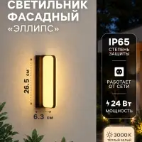 Светильник фасадный &laquo;Эллипс&raquo;, FSD-029, 24 Вт, 3000K, IP64, 220 В, пластик, чёрный