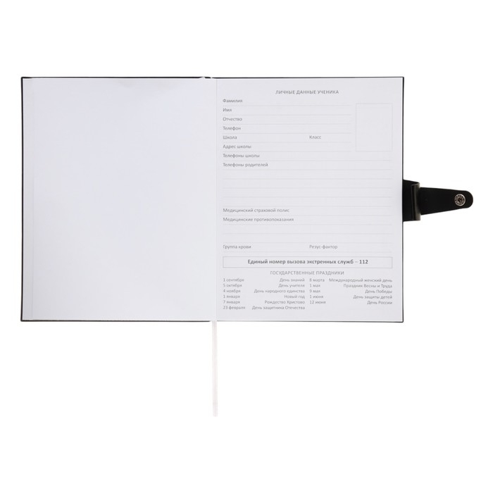 Дневник универсальный для 1-11 класса Favourite. Black, мягкая обложка, искусственная кожа, тиснение фольгой, ляссе, 80 г/м2