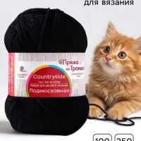 Пряжа для вязания спицами, крючком &laquo;Подмосковная&raquo;, 50% шерсть, 50% акрил, 250 м/100 г