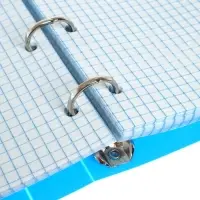 Тетрадь на кольцах Calligrata A5, 120 листов, в клетку, пластиковая обложка, блок офсет, голубая