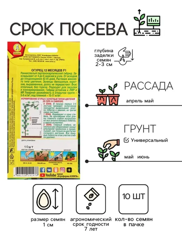 Семена огурца  Семена огурца "12 месяцев", F1, 10 шт.