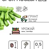 Семена Фасоль спаржевая &laquo;Сакса без волокна 615&raquo;, 3 г, &laquo;Рецепты дедушки Никиты&raquo;