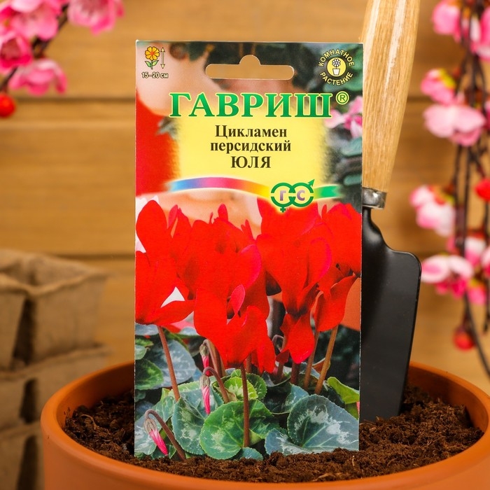 Семена цветов Цикламен  Семена цветов Цикламен "Юля", 3 шт.