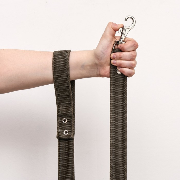 Поводок брезентовый 5 м х 3,5 см, тёмно-зелёный Поводок брезентовый 5 м х 3,5 см, тёмно-зелёный