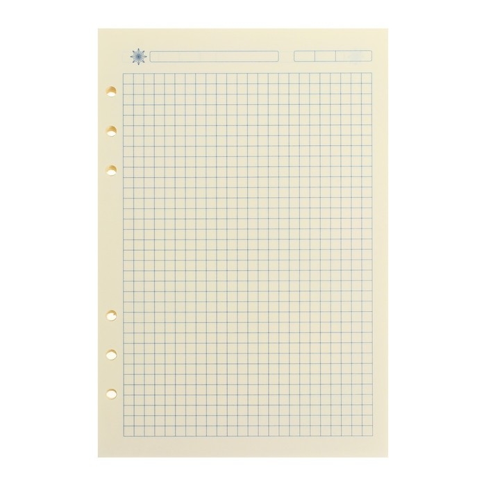 Сменный блок для органайзера А5, 80 листов в клетку, тонированный  Сменный блок для органайзера А5, 80 листов в клетку, тонированный "Кремовый"