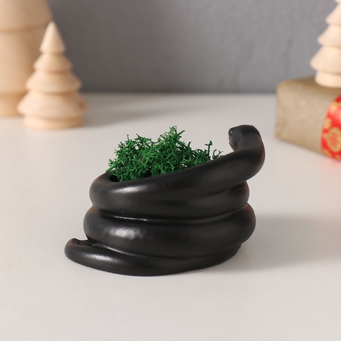 Сувенир мини  Сувенир мини "Змея" крученая со мхом  4*7*4 см черная (мох зелен стабил)