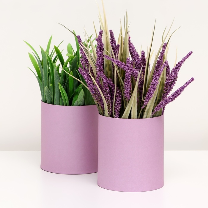Набор круглых коробок 2в1 , Набор круглых коробок 2в1 ,"Лаванда", без крышки, 10 х 10 х 10,5 см