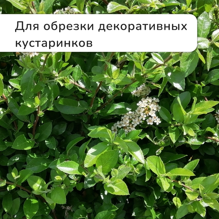 Секатор плоскостной, 7 Секатор плоскостной, 7" (18 см), с пластиковыми ручками, Greengo